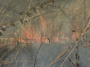 По статистике Государственного пожарного надзора за…