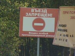 Раменские пожарные продолжают борьбу с огнём в лесах и…