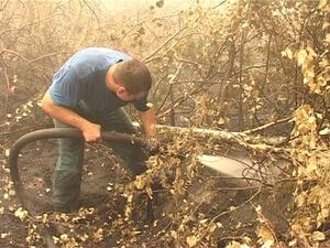 6 августа в  деревне Фенино и ближайших населенных…