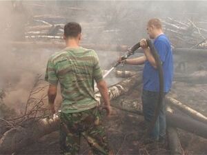 Уважаемые телезрители, к нам поступила новая информация…