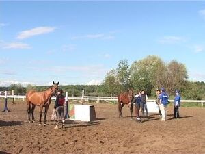 К важным соревнованиям в конно-спортивном клубе…
