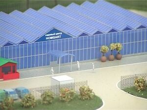 Три года назад компания «Хомгарт» начала свою…