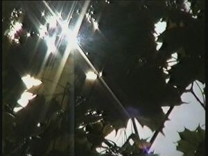 14 сентября – начало Бабьего лета. С этим днем связано…