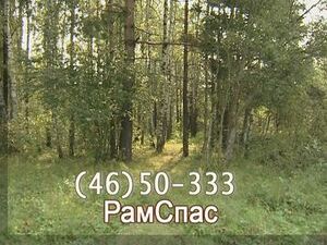 16 сентября  в районе деревни Захарово в лесу…