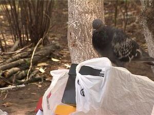 Тревожный звонок поступил к нам в редакцию из…