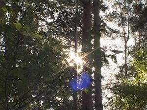 Во многих странах мира по-своему отмечают день осеннего…