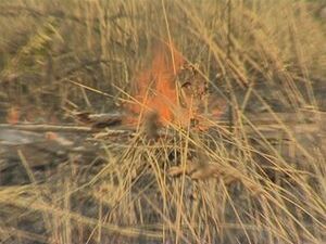 Сегодня международный день по уменьшению опасности…