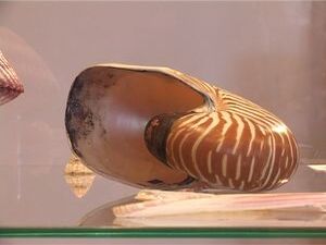 Те, кто этим летом так и не смог побывать на море, могут…