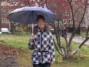 С древних времён люди следили за изменением погоды и…