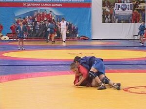 27 ноября на арене спорткомплекса  Борисоглебский прошло…