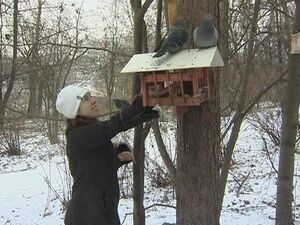 Зимой, особенно в период самых низких температур…