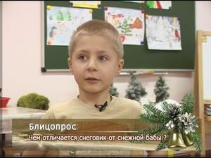 Чем отличается снеговик от снежной бабы?!