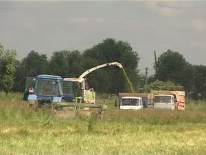 О том, как развивается сельскохозяйственная отрасль Вы…