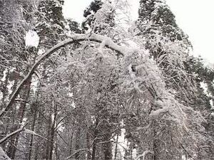 Кратово оказалось в числе поселений, оставшихся без…