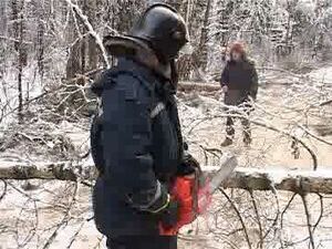 Сегодня на Донинском шоссе производилась опиловка…