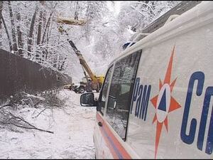 В каком режиме прошли зимние каникулы для сотрудников…