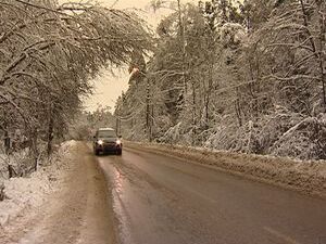 Последствия ледяного дождя до сих пор беспокоят жителей…