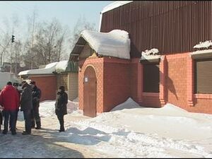 Проблема с бездомными животными в Подмосковье по…