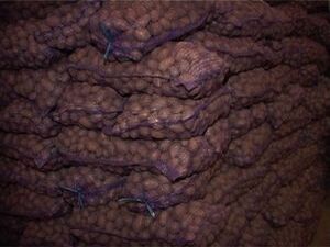 Раменский район славится производством молока и мяса, но…