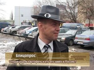 Откуда родом картофель и кто его завез в Россию?