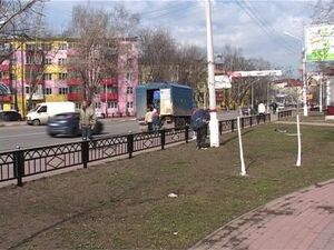 Снег сошёл не так давно, а вместе с ним обнажились…