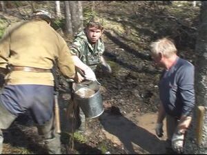 В годы Великой Отечественной войны в Новгородской…