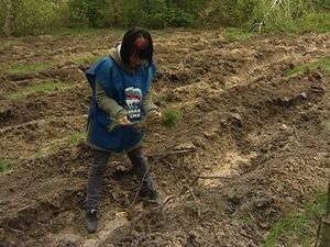 Всемирный день посадки леса ежегодно проводится 14 мая…