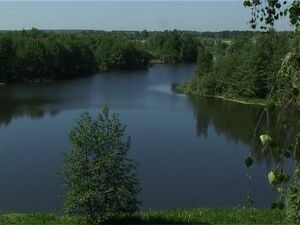 За 2011 год  по поводу укусов клещами  в медицинские…