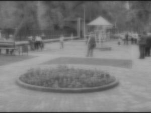 На недавнее сообщение из УВД о том,что в городе пойман…