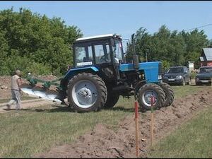 7 июня на территории племзавода «Раменское…