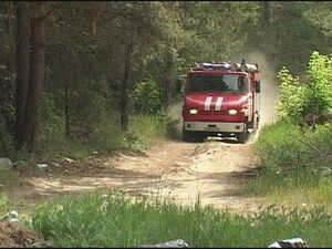 8 июня в лесной зоне сельского поселения Заболотье в…