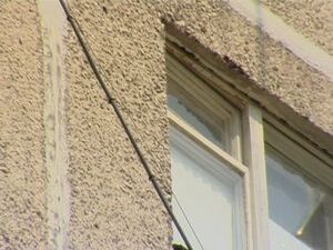 Ледяной дождь до сих пор дает о себе знать. Оборванные…