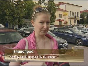 Собаку какой породы Вы бы завели ?