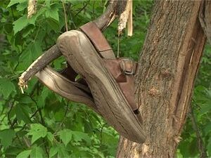 В течении пяти лет жители по улице Московрецкая и…