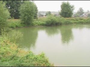 Сивов Виктор Константинович — староста деревни Глебово…