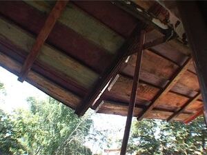 В предыдущих выпусках нашей программы вы видели сюжет о…