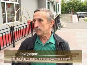 Что Вы будете делать, если заблудитесь в лесу?