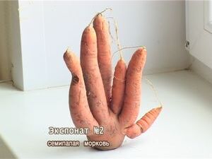 Конкурс «Раменского телевидения» на самый оригинальный…