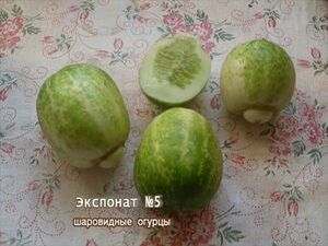 Продолжается конкурс «Раменского телевидения» на самый…