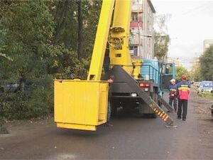 Опасность обрыва линий электропередач ветками деревьев…