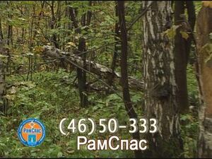 Несмотря на многочисленные предупреждения, грибники…