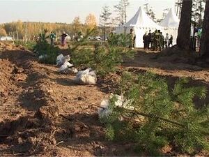 В минувшую субботу прошла акция  — посадка новых…