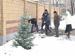 Пока холода беспощадно срывают с деревьев последние…