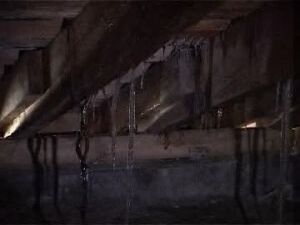 В  минувшее  воскресенье  наша  съемочная  группа  вновь…