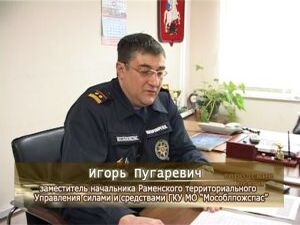 Частые возгорания лесов летом 2010-ого года привлекли к…