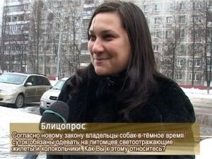 В последнее время участились случаи гибели домашних…