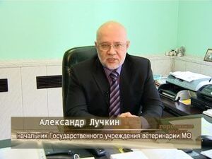 Зарегистрированы случаи заражения домашних животных…