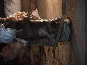 Сегодня наша съёмочная группа побывала в посёлке Красный…