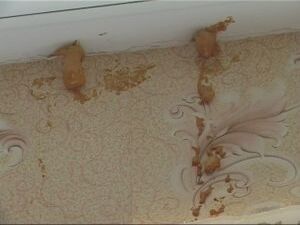 Александр Михайлович переехал в наш город 4 года назад…