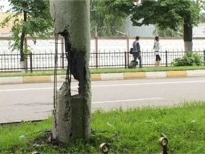 В студию Раменского телевидения от жителей города…